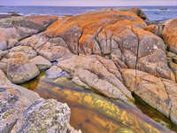 20241004150807_Rock_Pool_at_Bay_of_Fires